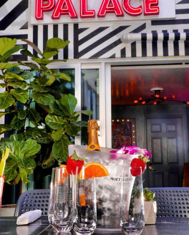 We’re ready to get those bottomless mimosas going, are you ready for brunch at PALACE?!

Book using the link in our bio or on our website www.palacesouthbeach.com/book